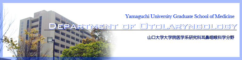 ������^�쐬