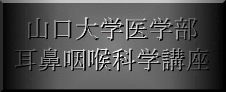 ������^�쐬