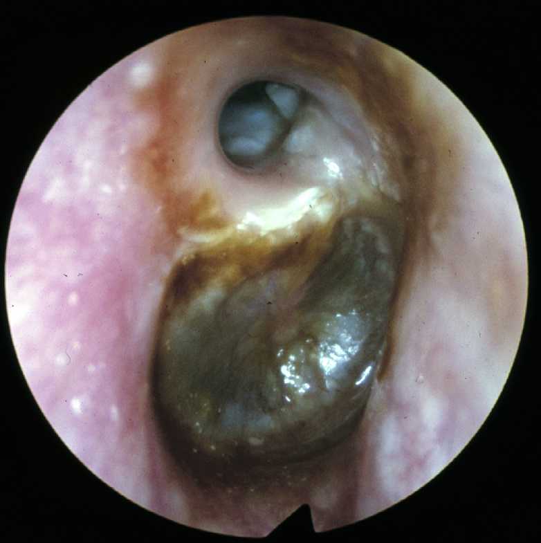 �^��������