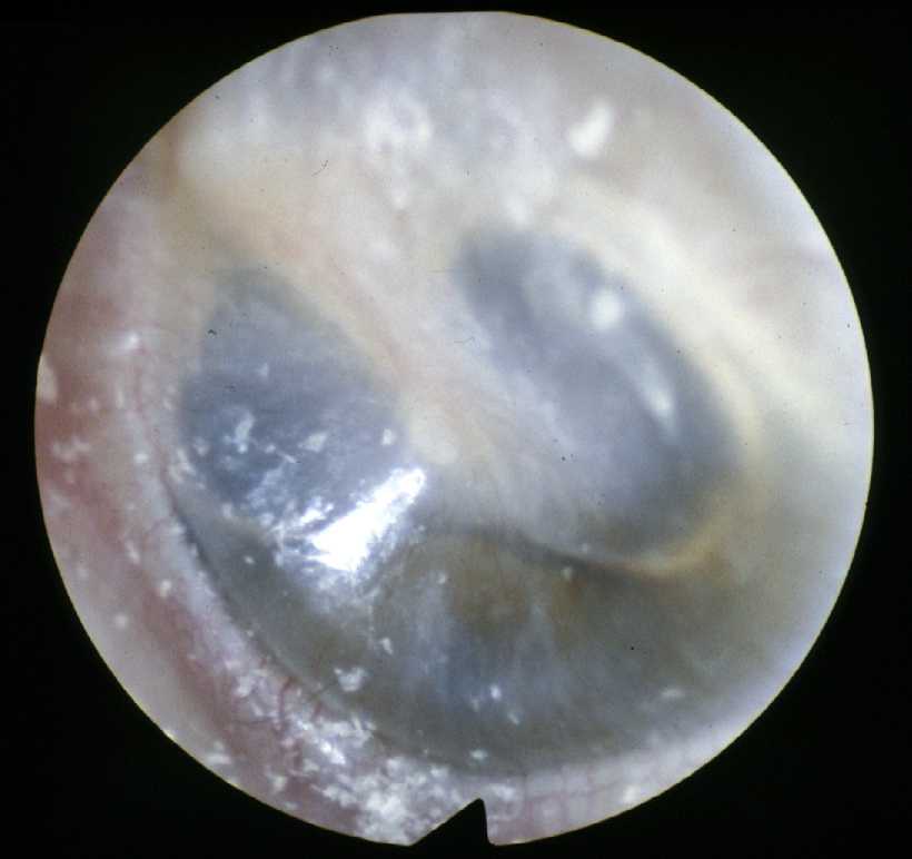 ���o��������