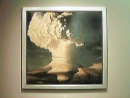 Mushroom Cloud #1001