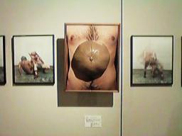 �k��T��s�Ώ�f�̈ړ](���ł�������ɂ�����)�t