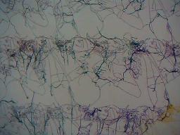 Ghada Amer