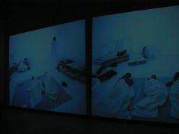 Rosemarie Trockel