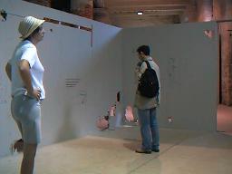 Monica Bonvicini