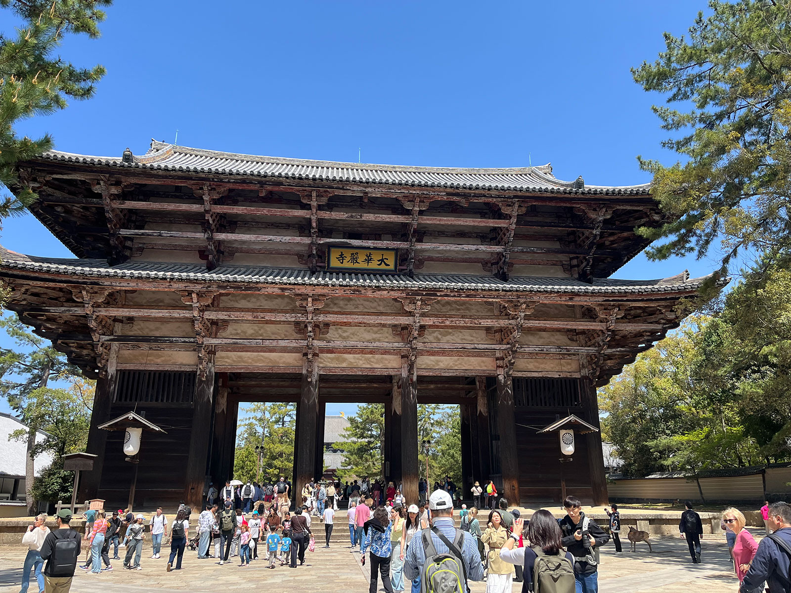 東大寺南大門