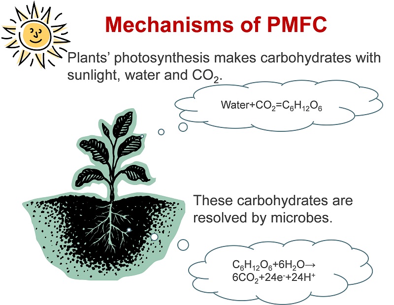 Plant Microbial Fuel Cells (PMFCs) image_1