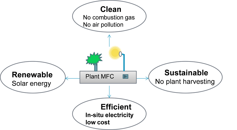Plant Microbial Fuel Cells (PMFCs) image_2