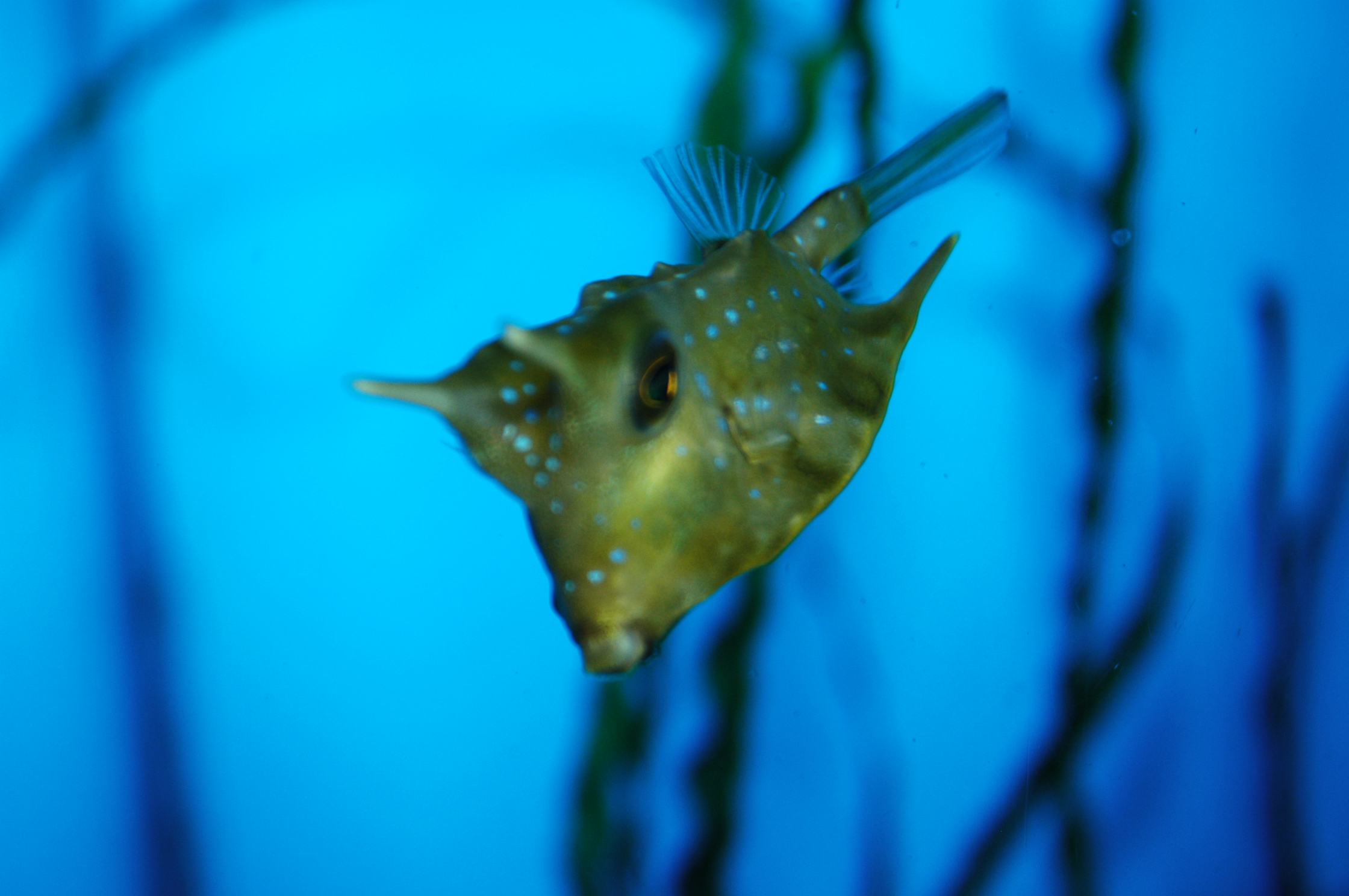 DSC_0462.JPG