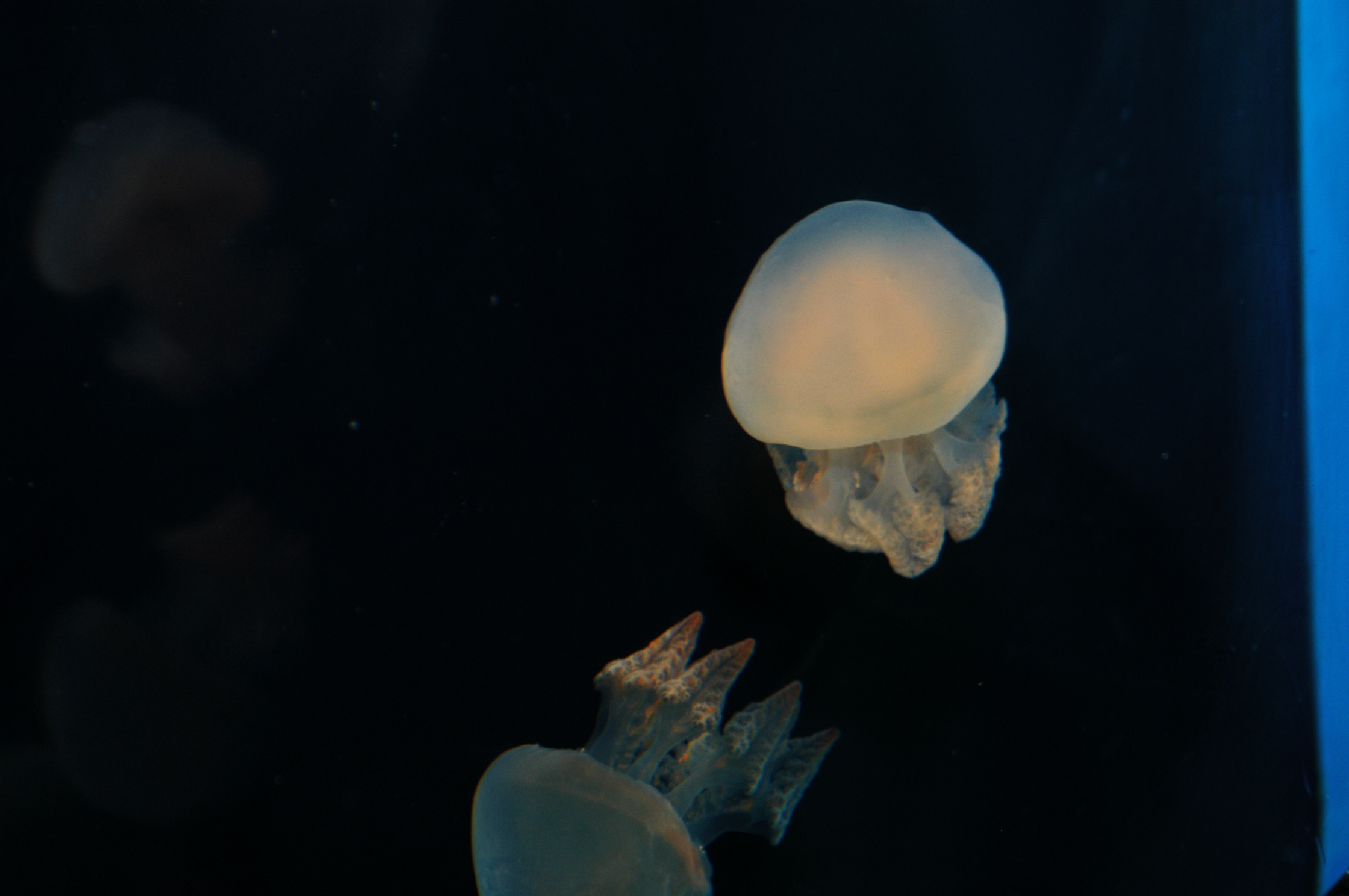 DSC_0467.JPG