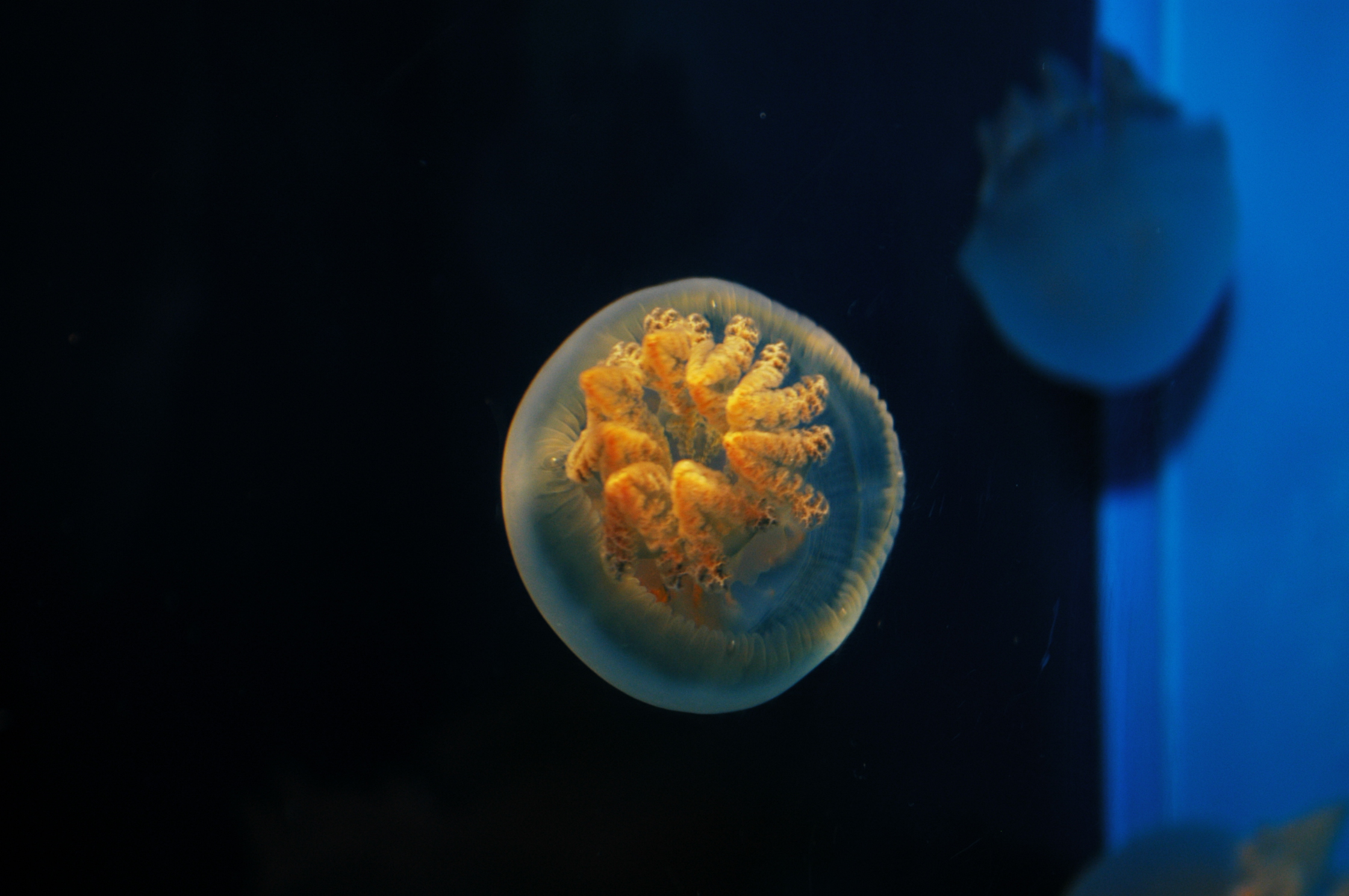 DSC_0469.JPG