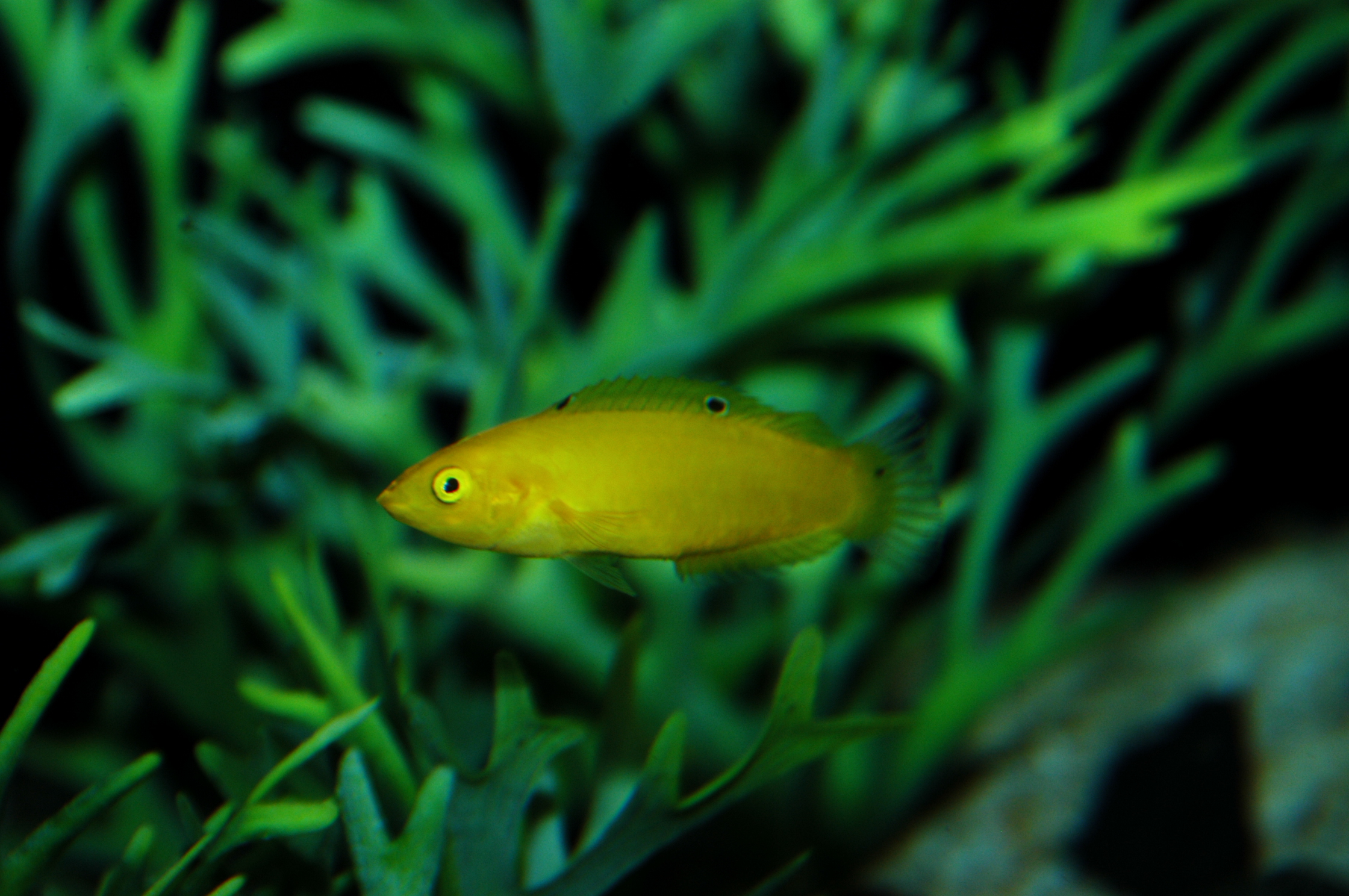 DSC_0473.JPG