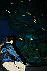 DSC_0489_thumb.jpg