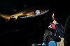DSC_0493_thumb.jpg