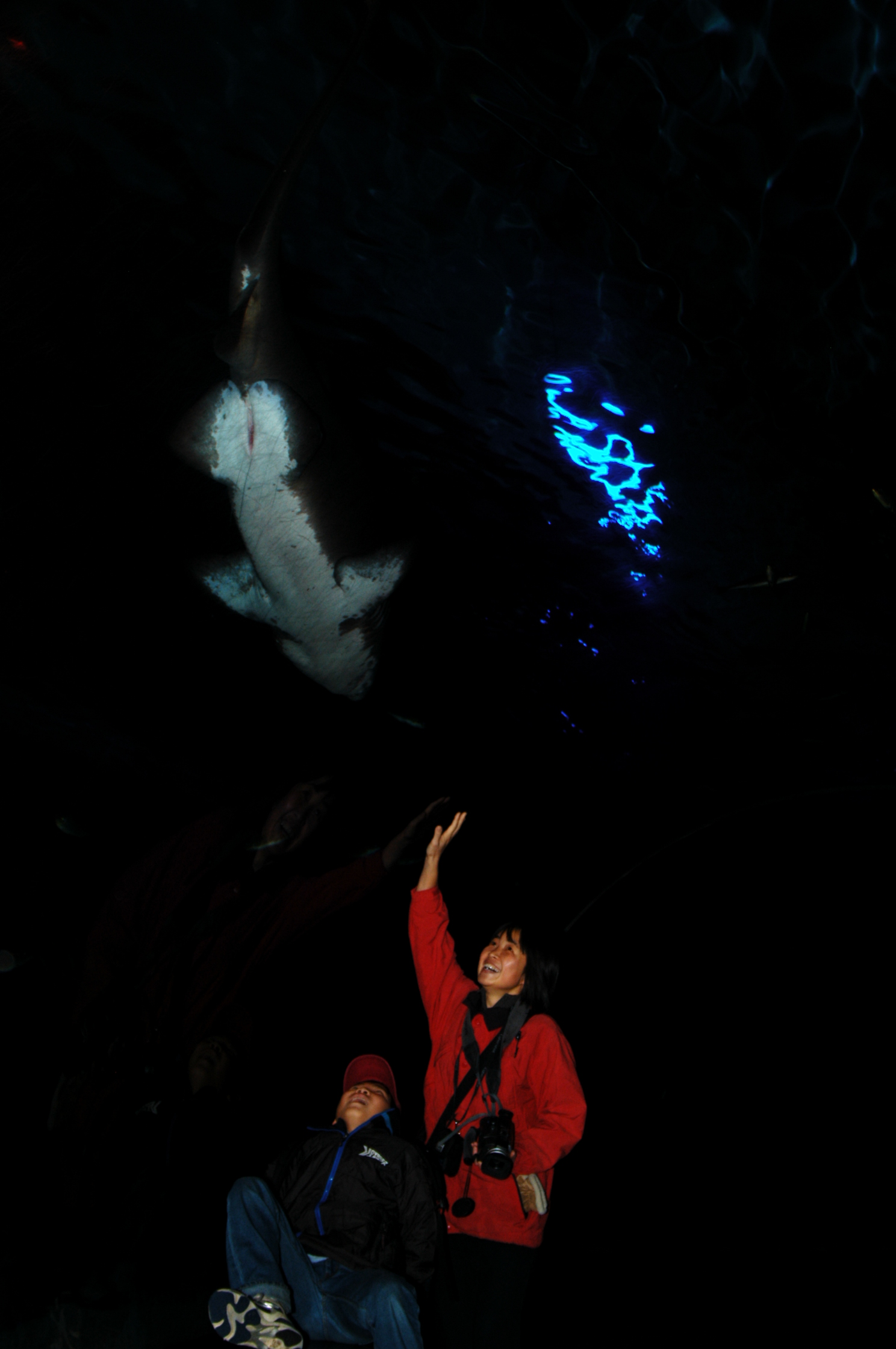 DSC_0494.JPG