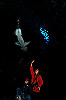 DSC_0494_thumb.jpg