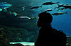 DSC_0495_thumb.jpg