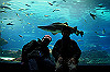 DSC_0496_thumb.jpg