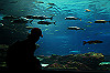 DSC_0499_thumb.jpg