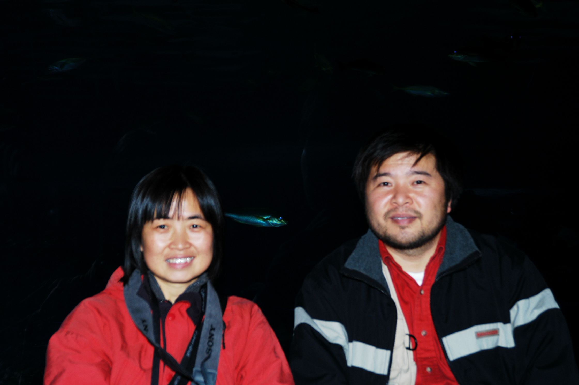 DSC_0500.JPG