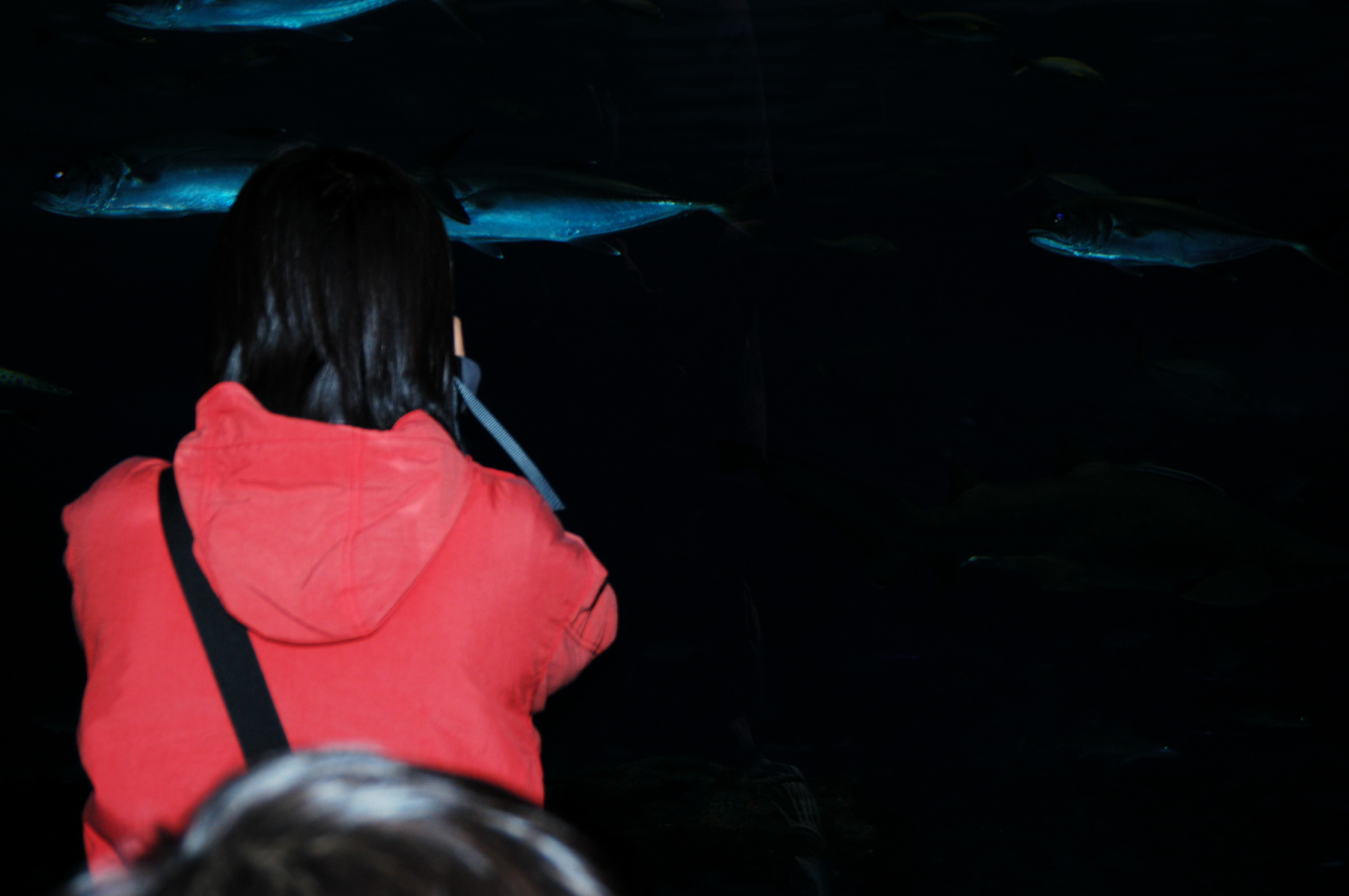 DSC_0502.JPG