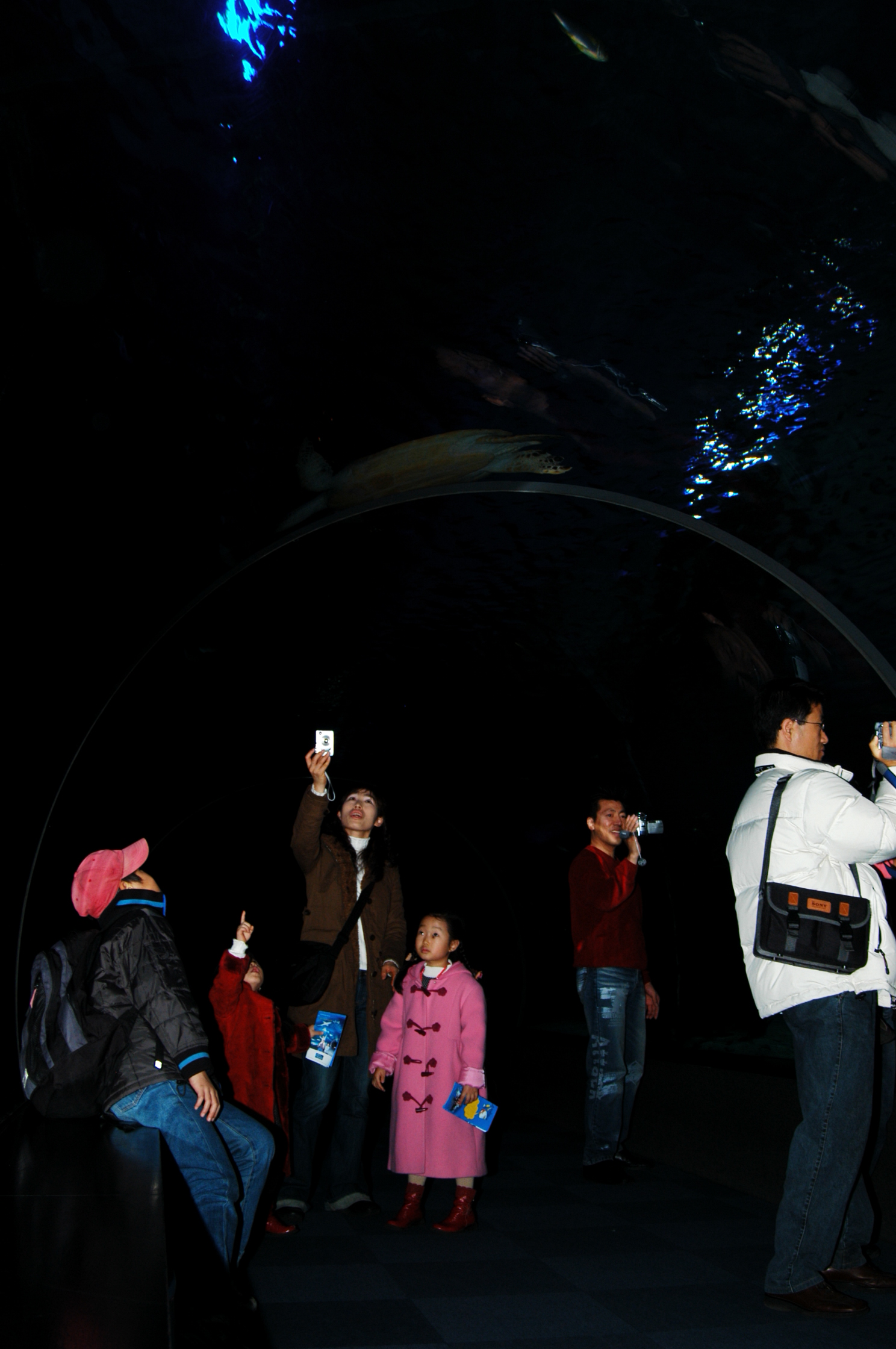 DSC_0503.JPG