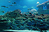 DSC_0507_thumb.jpg