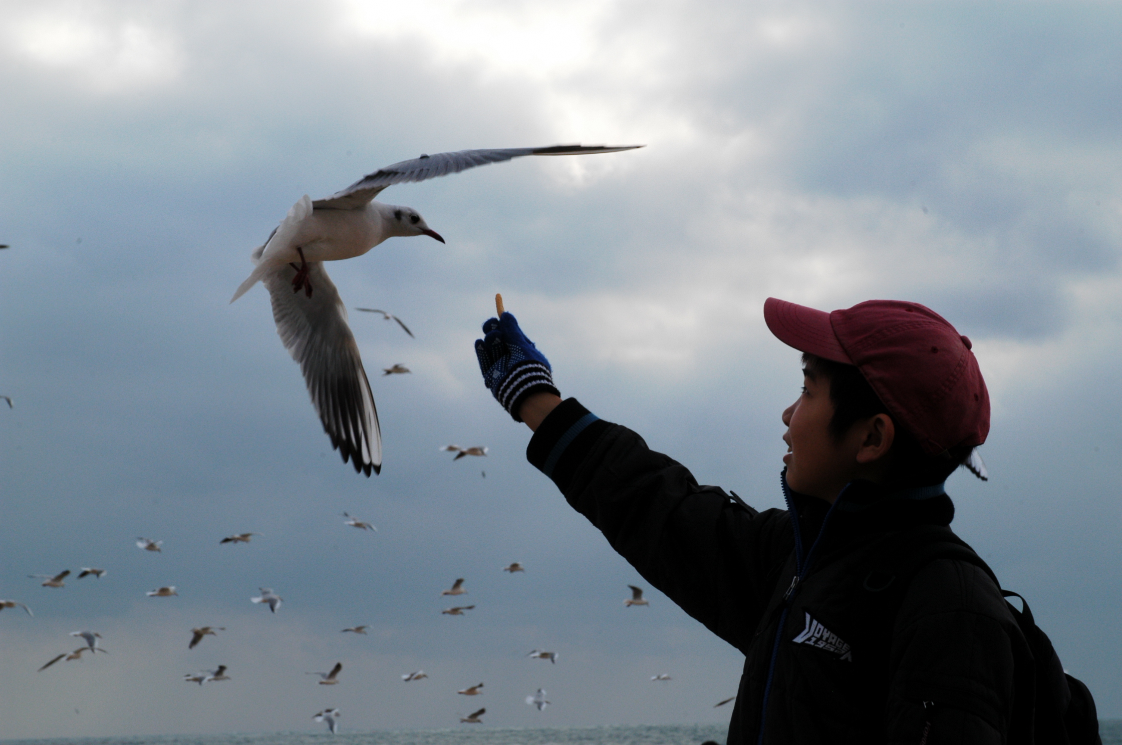 DSC_0516.JPG