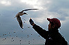DSC_0516_thumb.jpg
