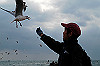 DSC_0517_thumb.jpg