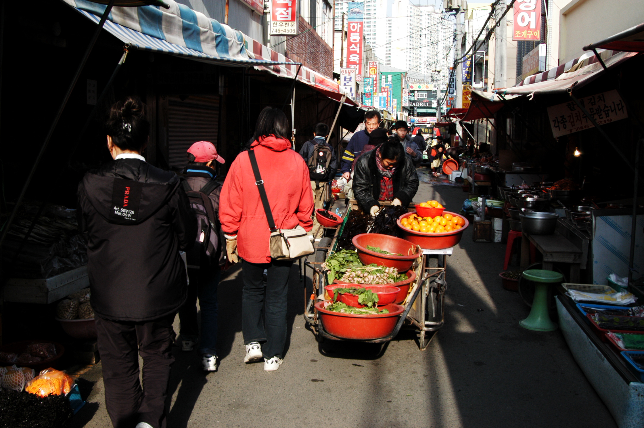 DSC_0532.JPG