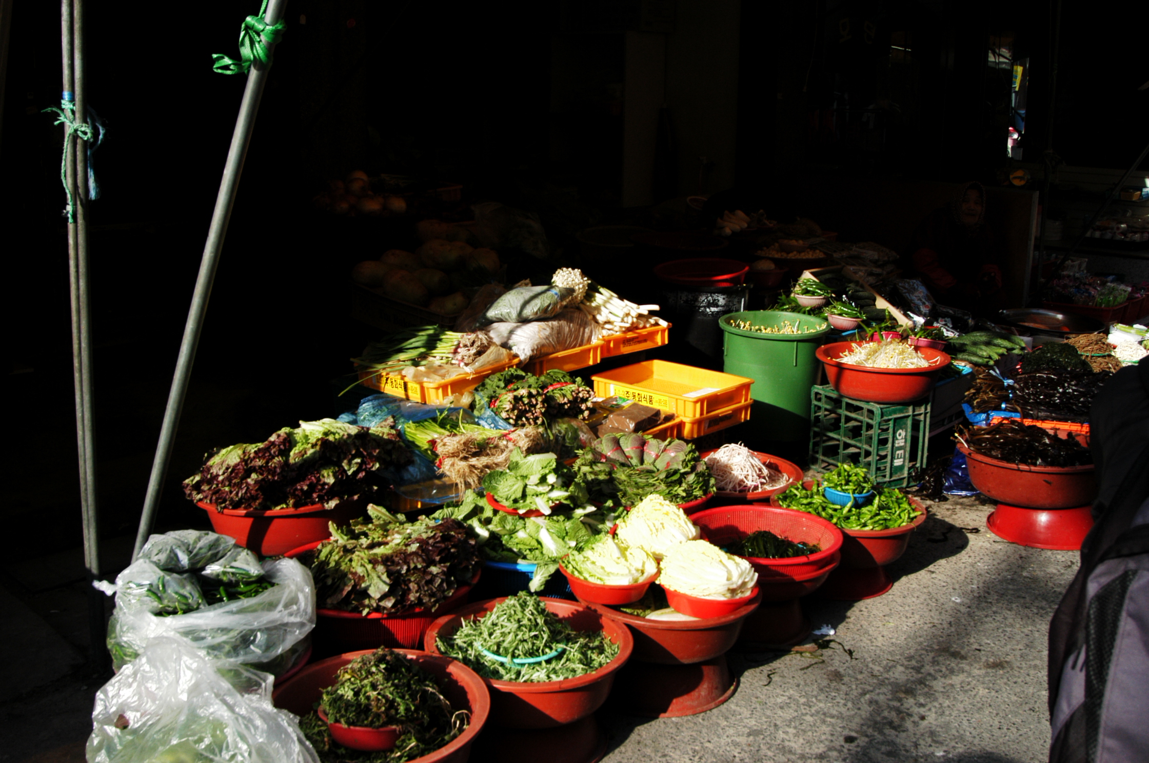 DSC_0534.JPG