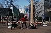 DSC_0544_thumb.jpg