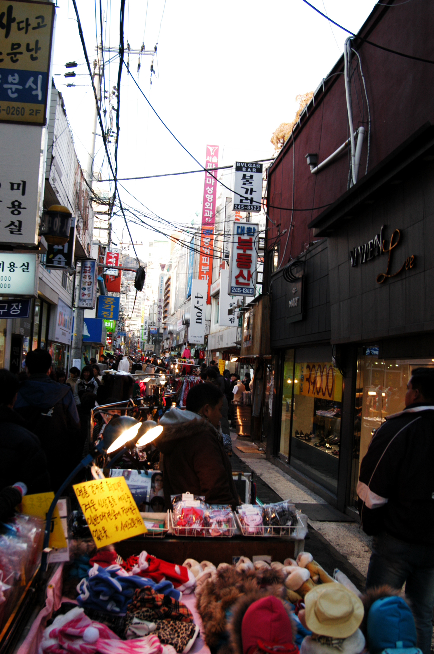 DSC_0566.JPG