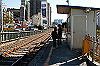 DSC_0584_thumb.jpg