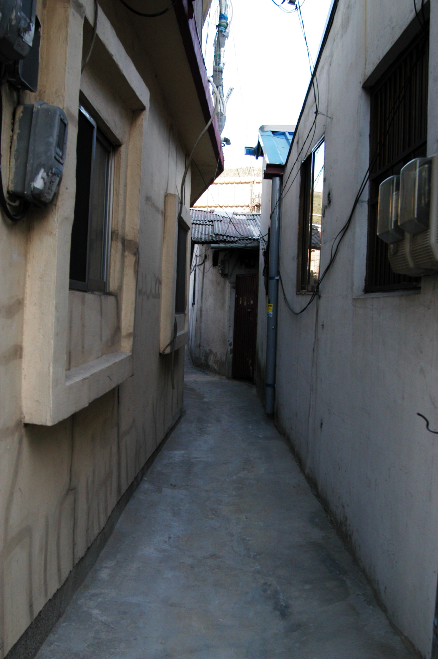DSC_0613.JPG