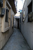 DSC_0613_thumb.jpg