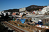 DSC_0615_thumb.jpg