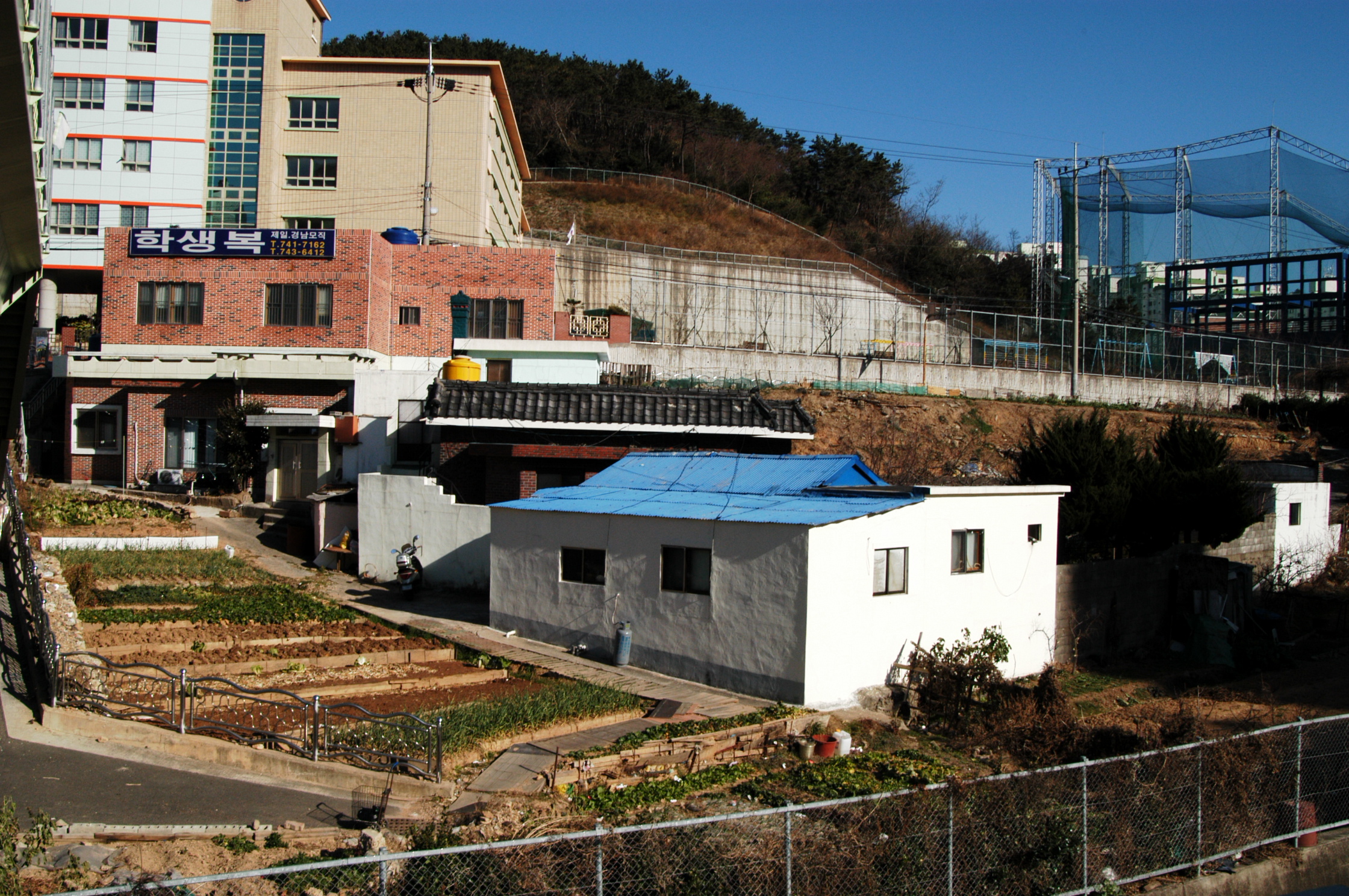 DSC_0616.JPG