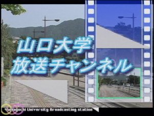 n挤n
