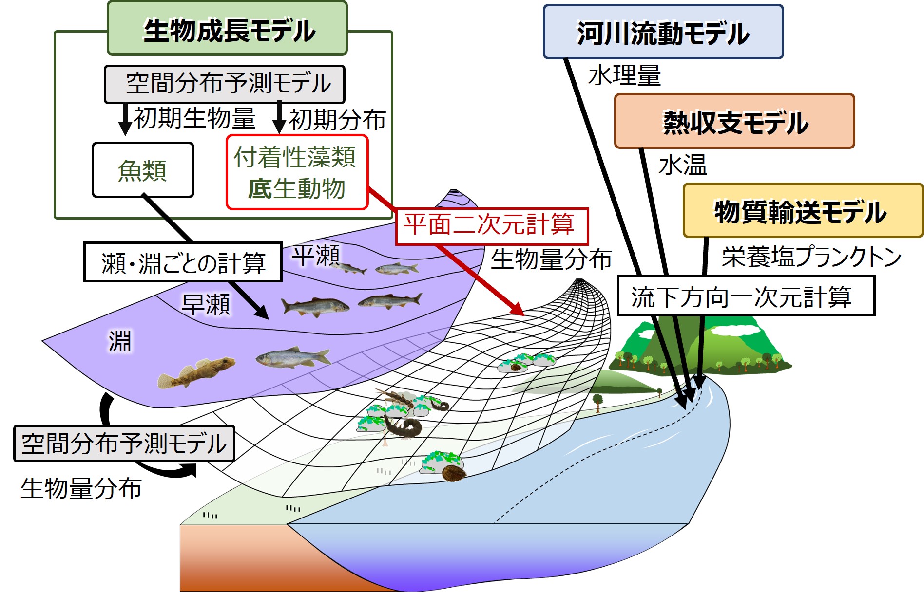 ハイブリッド河川生態系モデルの開発