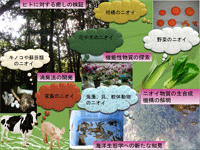 最近の研究テーマ