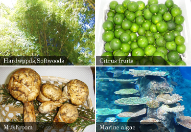 Pheromones, Allelochemicals, Biological pesticides, Functional foods, Relaxation