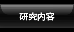 研究内容