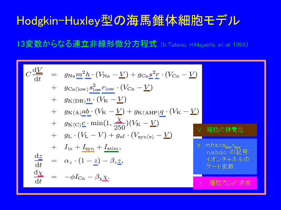 Hodgkin-Huxley�^�̃��f��