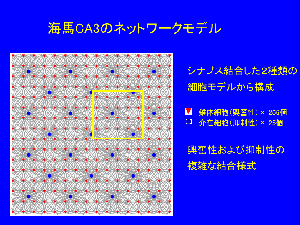 �C�nCA3�̃l�b�g���[�N���f��