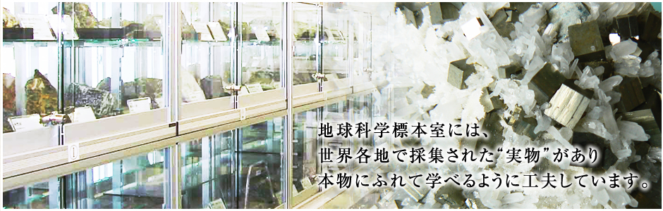 地球科学標本室には、世界各地で採集された“実物”があり本物にふれて学べるように工夫しています。