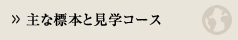 主な標本と見学コース