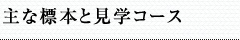 見学コース