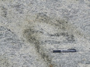 部分的にチャーノカイト化した花崗片麻岩(暗色部)